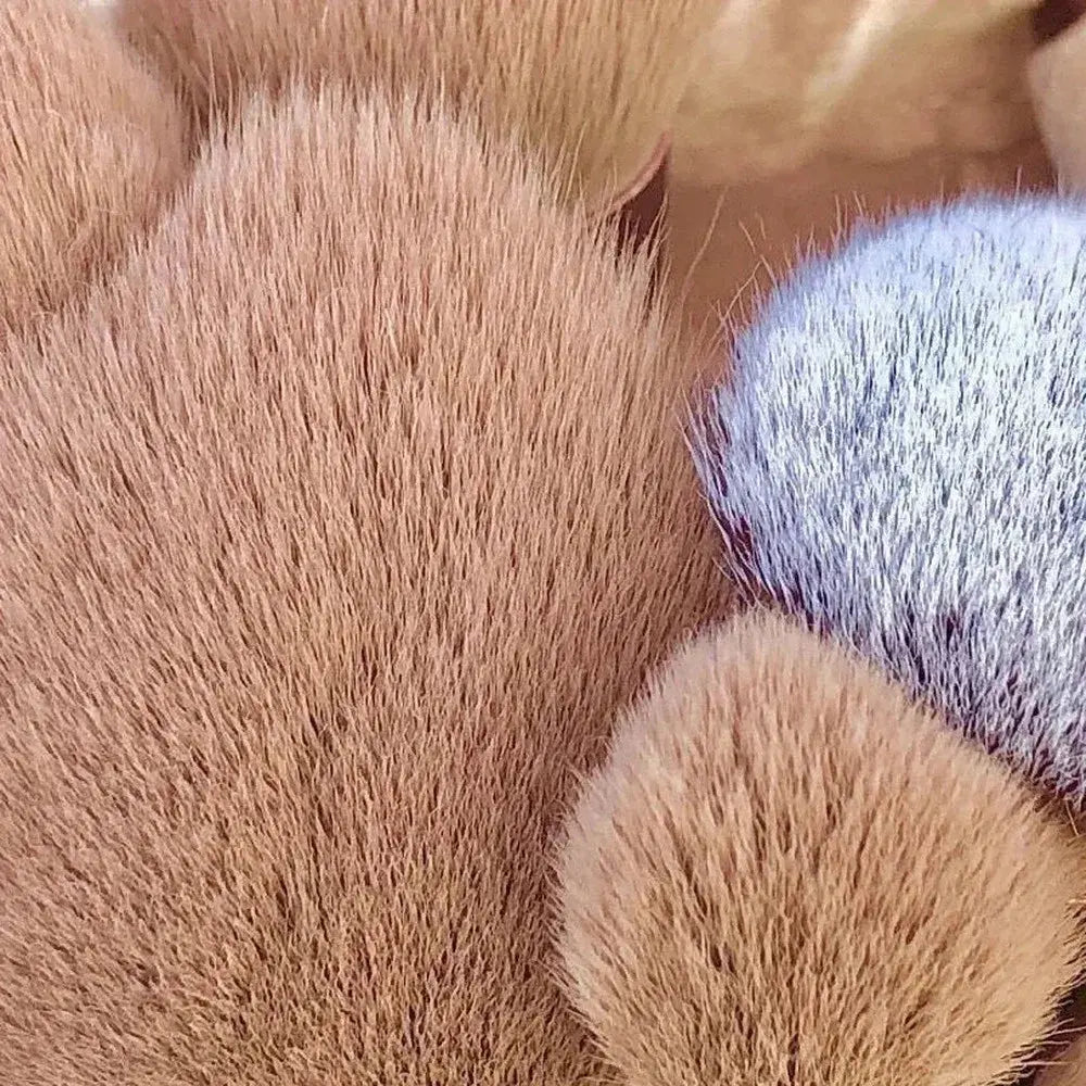 Phansta™ Beauty Brush Kit (13-Piece brush collection) 